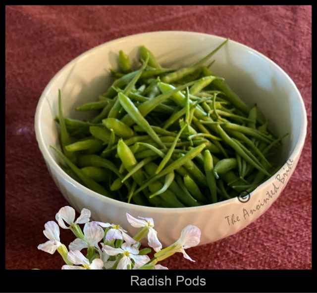Radish Pods